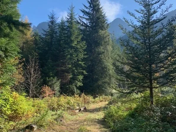 535 xx SE 116th Street, North Bend, WA 98045