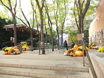 Rented by Sky Management