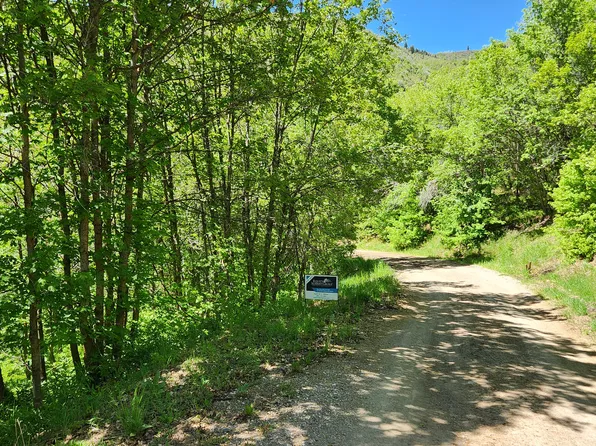 22465 N Elk Meadow Dr, Fairview, UT 84629