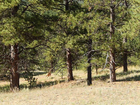 5th image of 39442 Us Highway 24