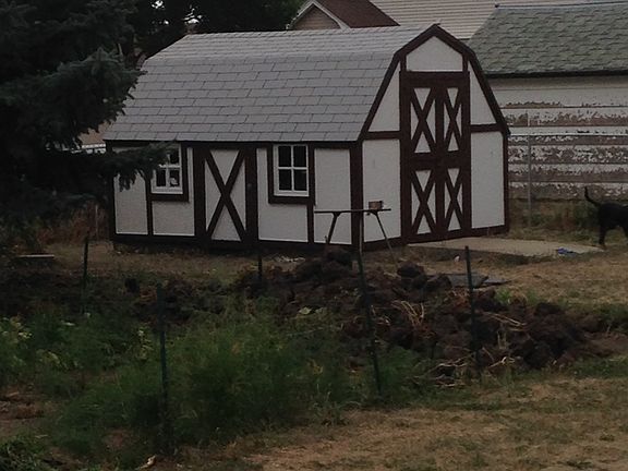 10 x 12' shed/playhouse