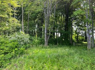 Vl 1 Lake Rd, North Kingsville, OH 44068