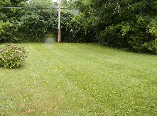 2nd image of 562 Cornell Ave