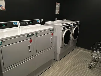 Rented by Cyberapts Management