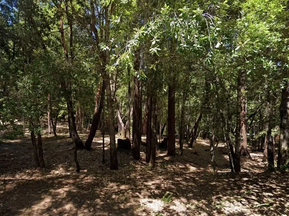 1710 Ponderosa Road, Willits, CA 95490