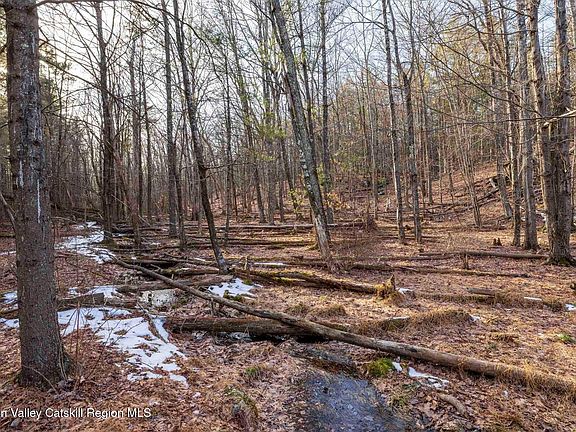 4th image of 95 (75) W Saugerties Road