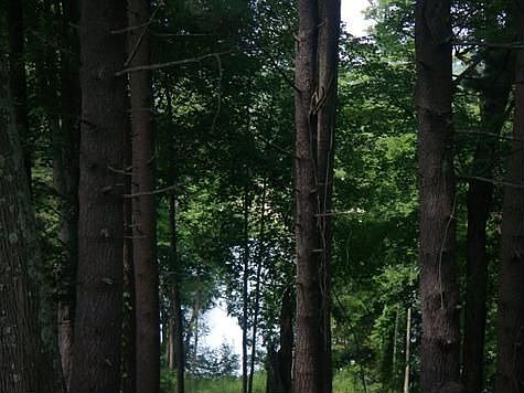 VIEW FROM THE LIVING ROOM