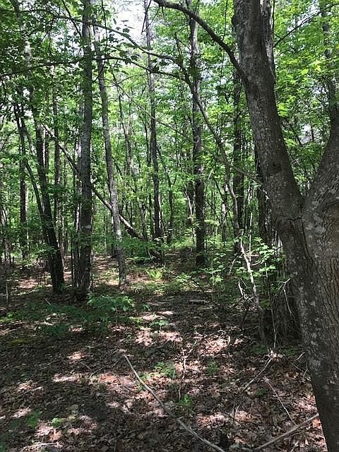 2nd image of 462 Mulberry Ln Lot 0