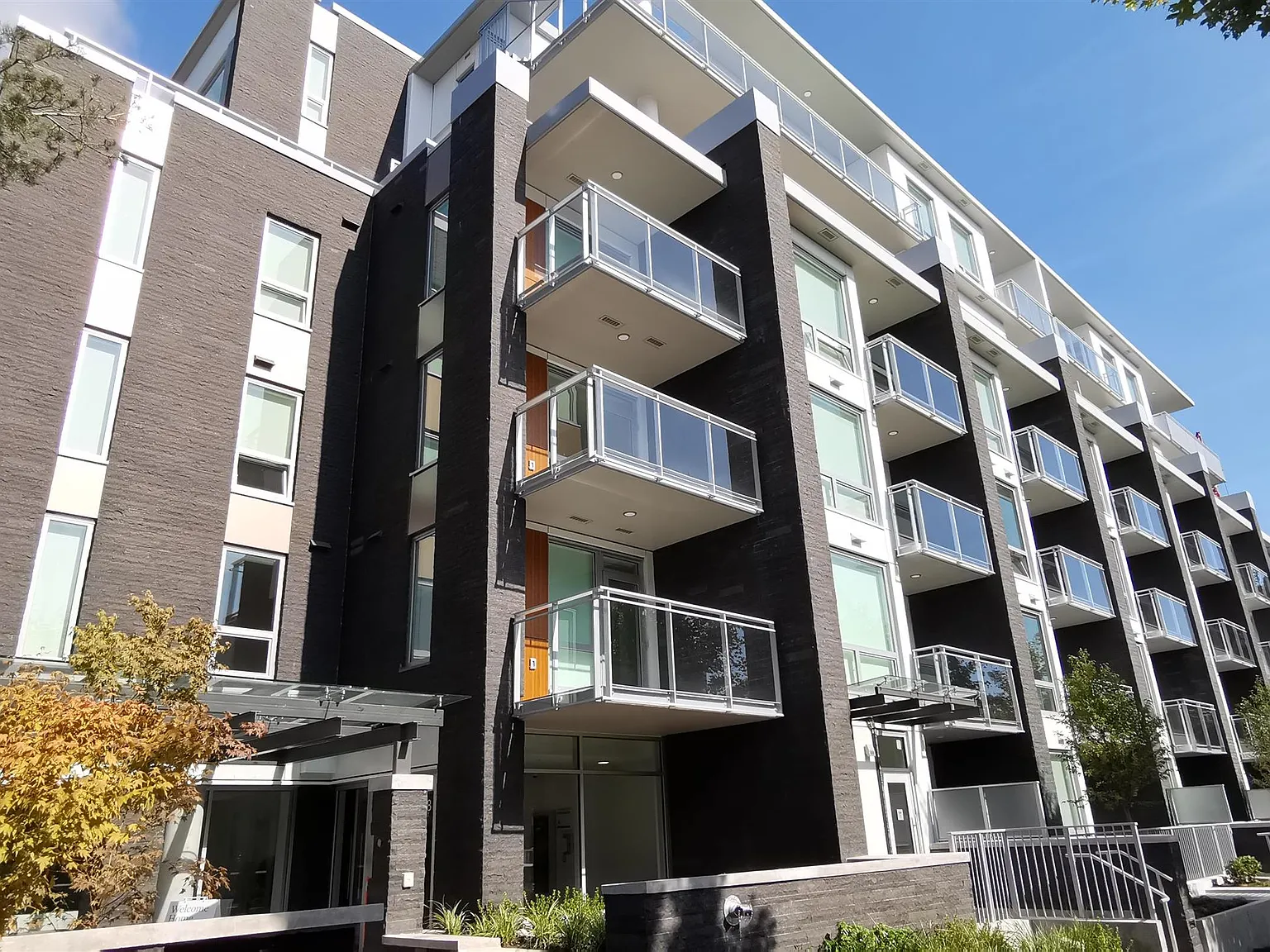 1 bed, 566 sqft, $2,500 — Photo 1