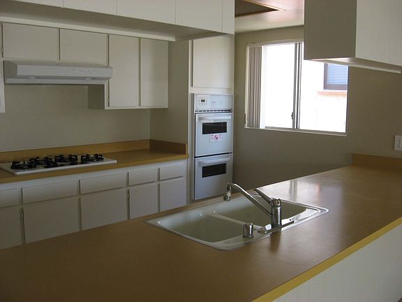 New range, hood, oven & dishwasher