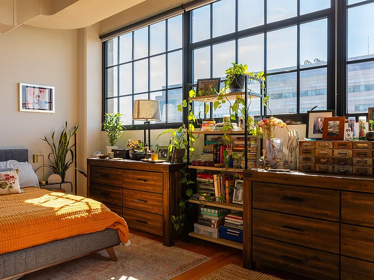 Suitable Room for Plants