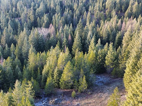 3rd image of L6-B1 Kelso Woods Dr
