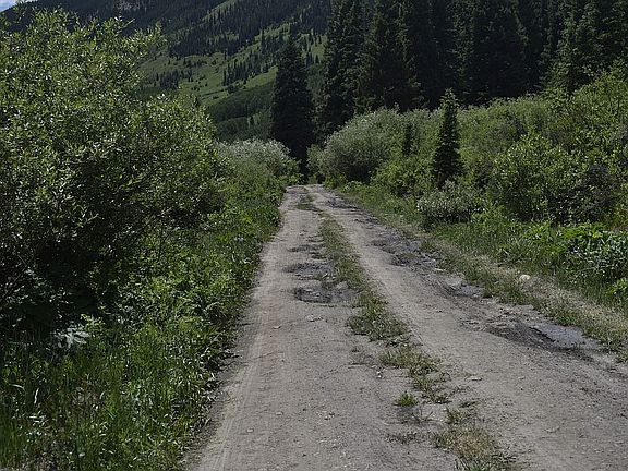 2nd image of County Road 317