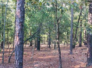 2372 Miles Rd, Elgin, SC 29045