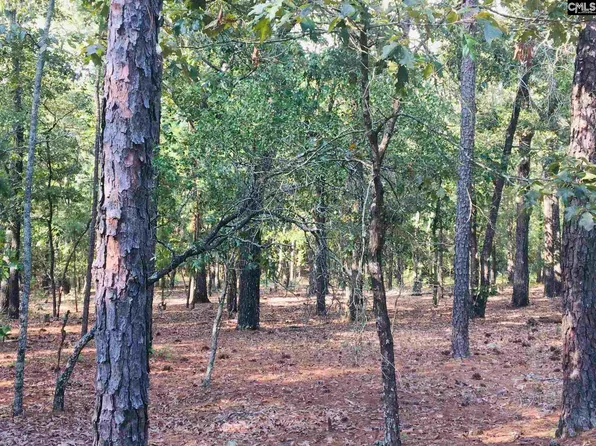 2372 Miles Rd, Elgin, SC 29045