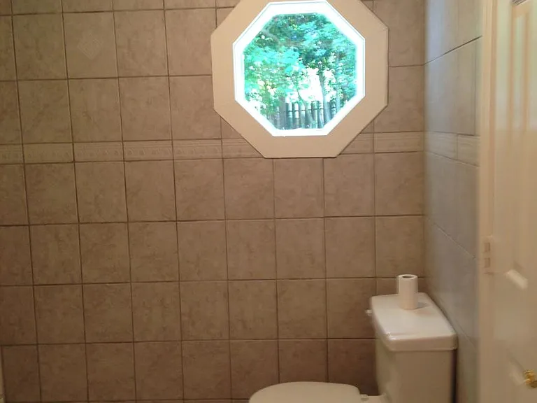 Hall bathroom toilet