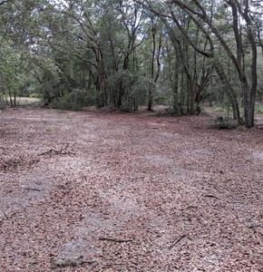 33174 Tombstone St Lot 3, Webster, FL, 33597