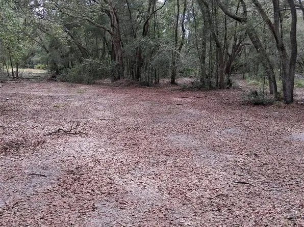 33174 Tombstone St Lot 3, Webster, FL 33597