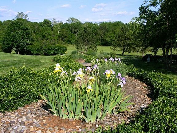 Professionally landcaped