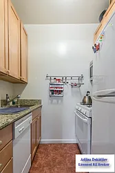 Rented by Adjina Dekidjiev, LREB