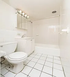 Rented by Icon Realty Management