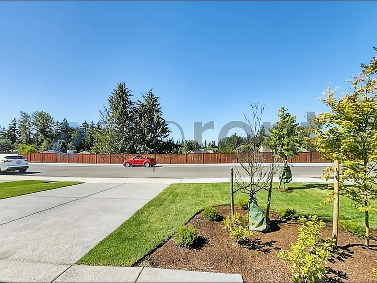 Front Yard