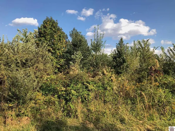 LOT 44 Chris Dr, Mayfield, KY 42066