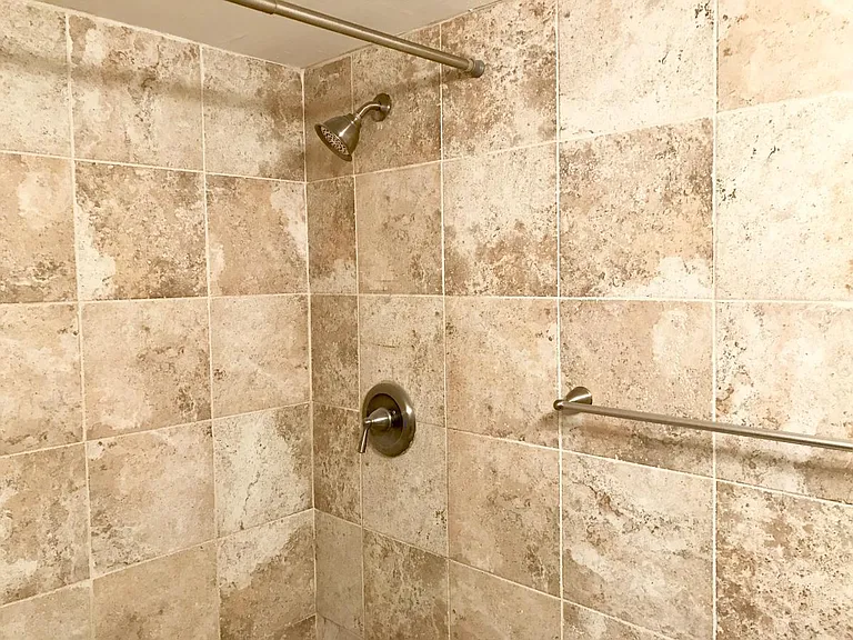 Master Bathroom Shower