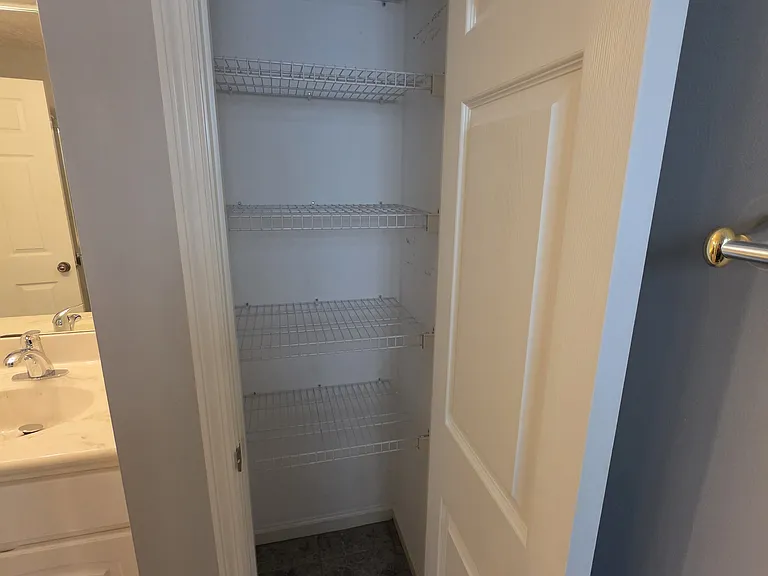 Master bathroom linen closet