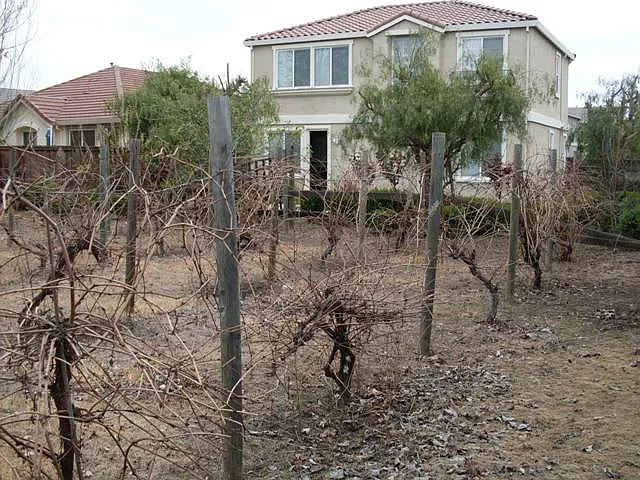 1962 Las Flores Dr — Photo 9
