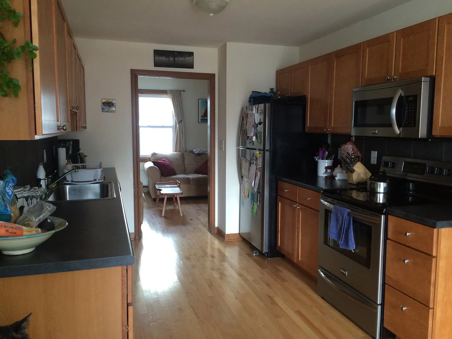 2 bed, $2,000 — Photo 2