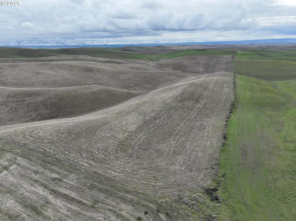 Harvey Shaw Rd, Walla Walla, WA 99362