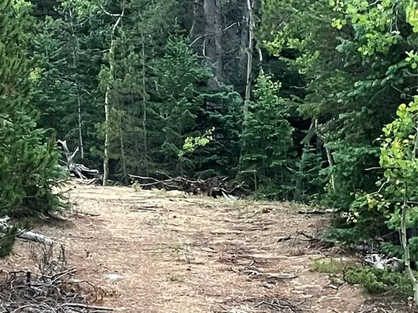 850 Lupine Place, Black Hawk, CO 80422