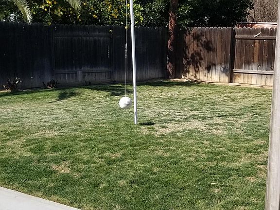 Grassy backyard with tether ball