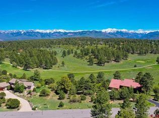 582 Marmot Dr, Ridgway, CO 81432