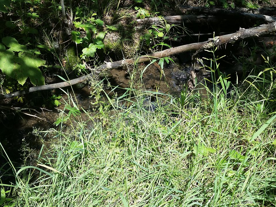 mountain stream