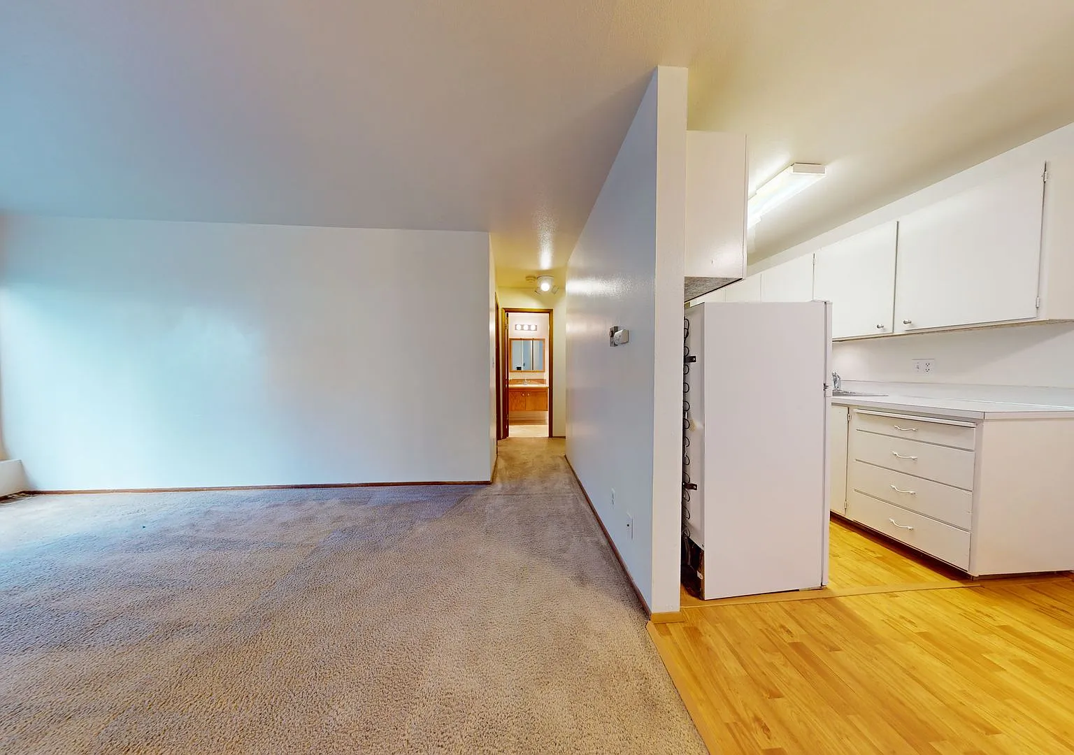 Coho — Photo 3