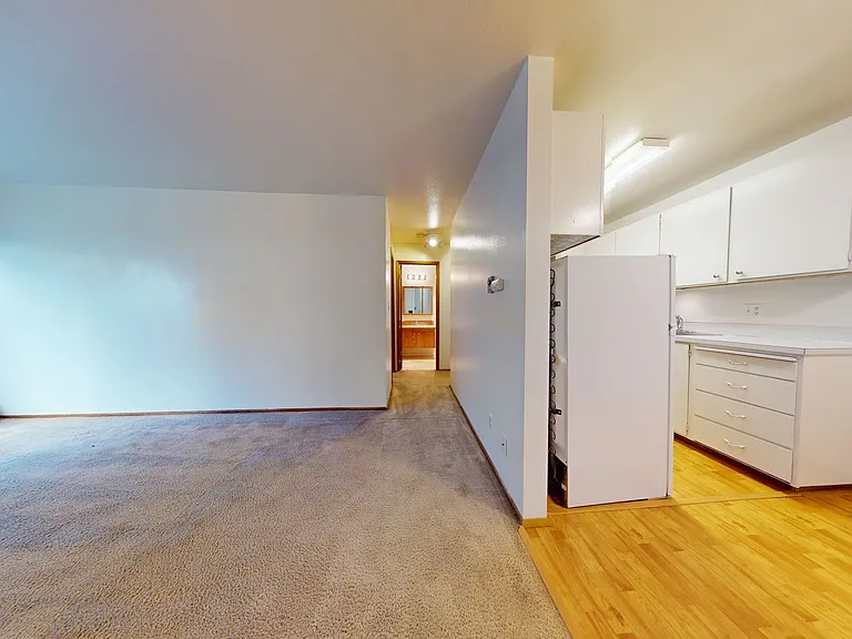 Coho — Photo 3