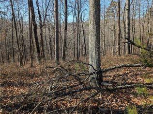 1422 Hanna Dr, Ranger, GA 30734