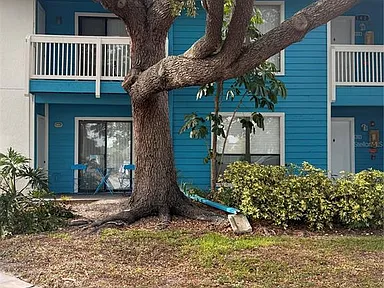 Harbor Club Downs - 455 Alt 19 S Palm Harbor FL | Zillow