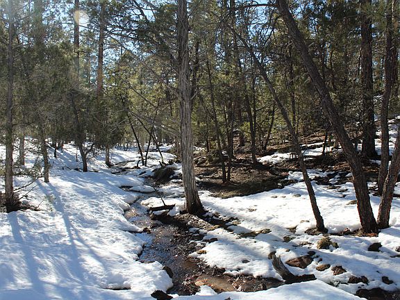 2nd image of 1160 W Sierra Pines Dr