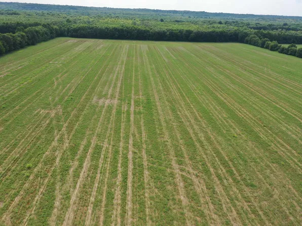 0 Dogtown Rd, Benton, KY 42025