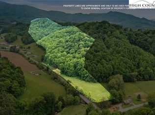 Odes Wilson Rd, Zionville, NC 28698