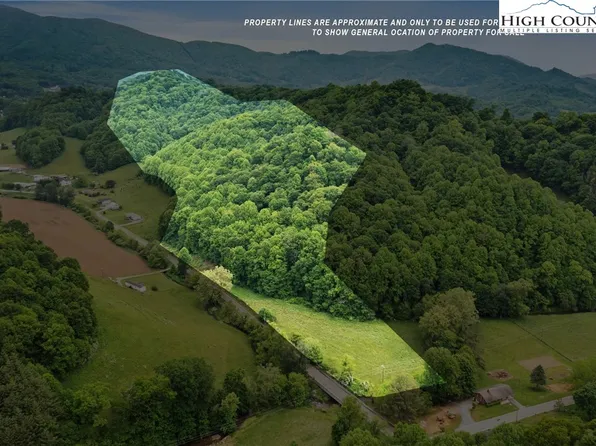 TBD Odes Wilson Road, Zionville, NC 28698