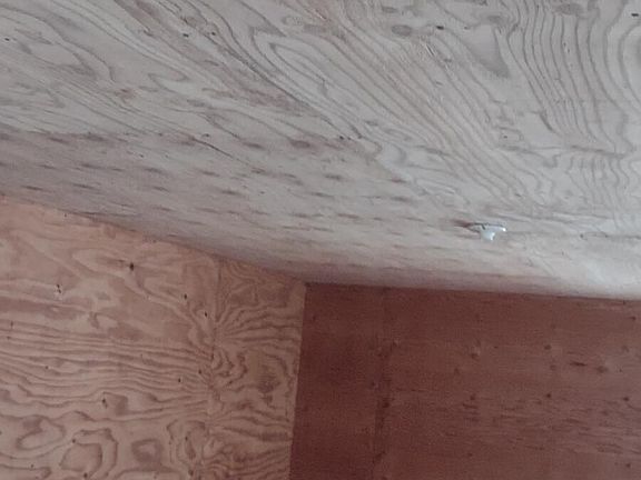 5th image of 35682 Violet Cir