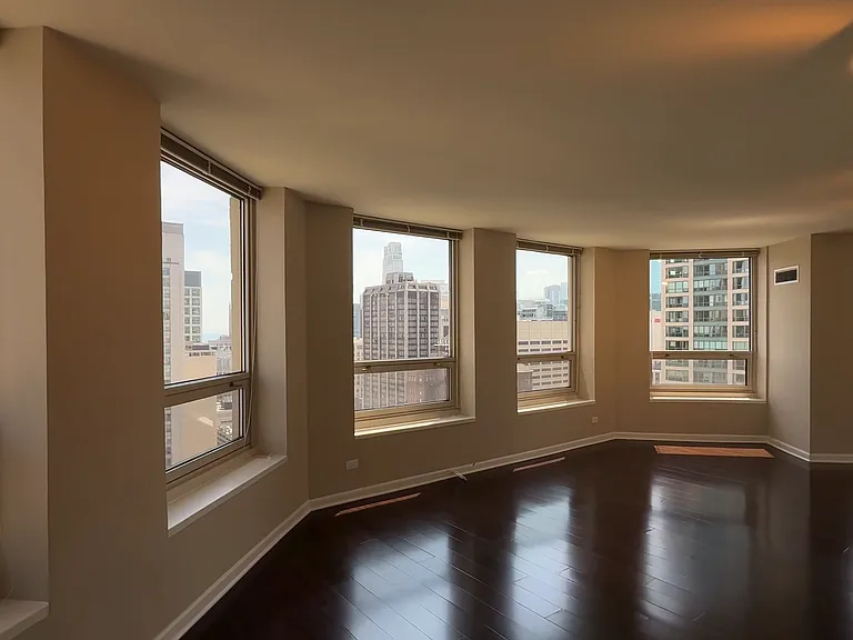 745 N Rush St #3203 — Photo 10