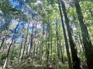 0 Alto Shipman Rd, Ariton, AL 36311