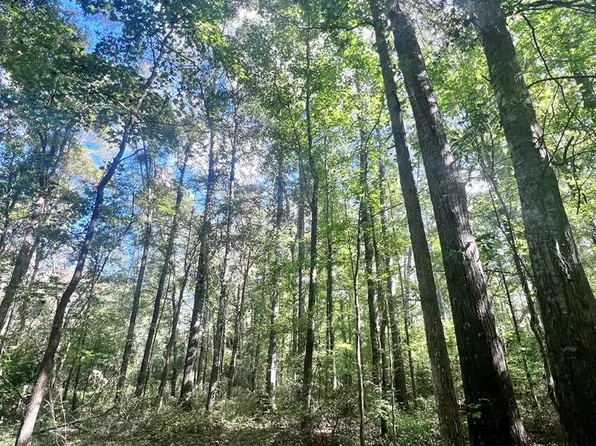 0 Alto Shipman Rd, Ariton, AL 36311