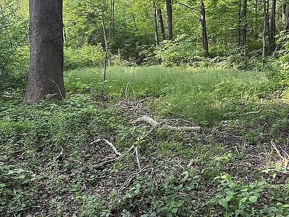 5th image of 0 Worrell Rd