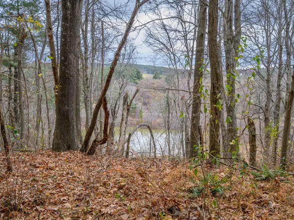 595 Wild Cherry Rd NE Lot C, Pilot, VA 24138